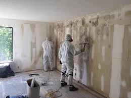 Reliable Ilion, NY Mold Removal Solutions